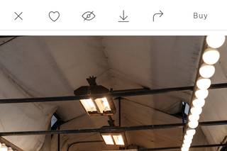 True Colors Creative - 7