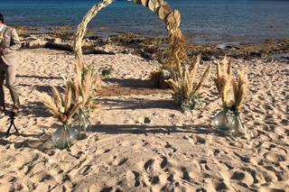 Golden Apple Weddings - 41