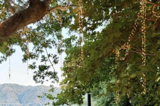 Theodorakis.events - 5