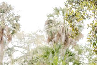 b Wed Charleston - 7