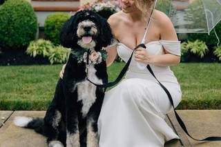 Smile ‘N’ Wag - 10