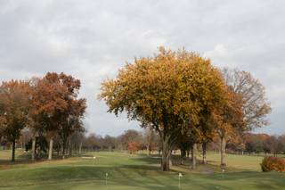 Dearborn Country Club - 6