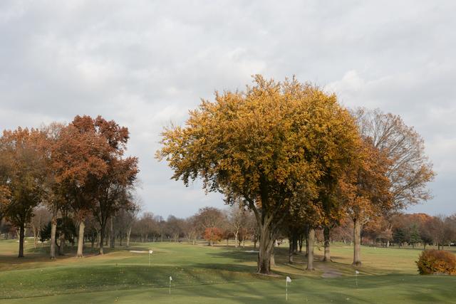 Dearborn Country Club - 1
