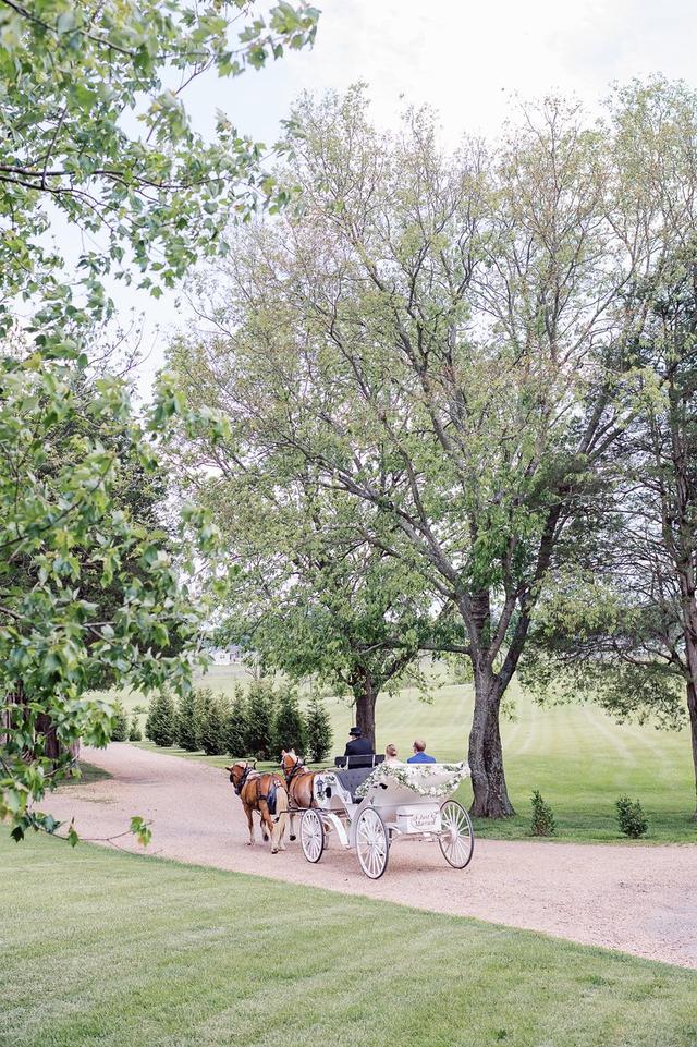 The Shenandoah Carriage Company, LLC - 2