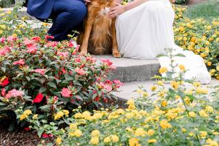 Tyler Trippett Photography - 5