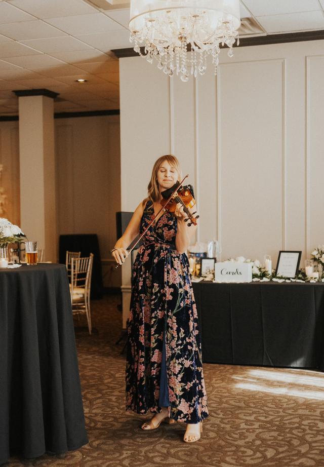 Elegant Violin - 3