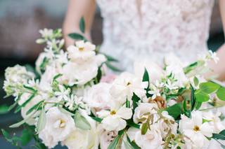 Plume Events - 9