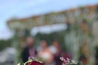 Botanica Flowers - 31