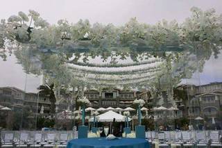 Carrie Zack Events - 15