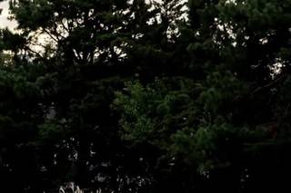 Blue Heron Pines Golf Club by Ron Jaworski Weddings - 5