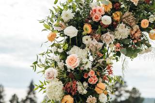 Julianne Brasher Photography - 5