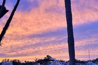 The Resort at Longboat Key Club - 13