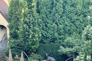 Deer Path Inn - 6