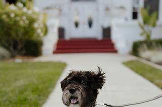 Hayes Mansion San Jose, Curio Collection by Hilton - 11