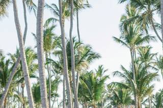 LizArtStudio Photography - 58