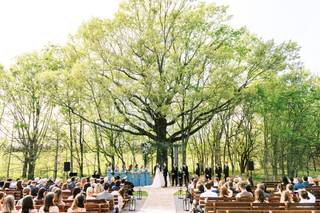 Ashley Schurch Photography - 10