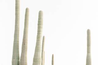Tara Leinen Photography - 13