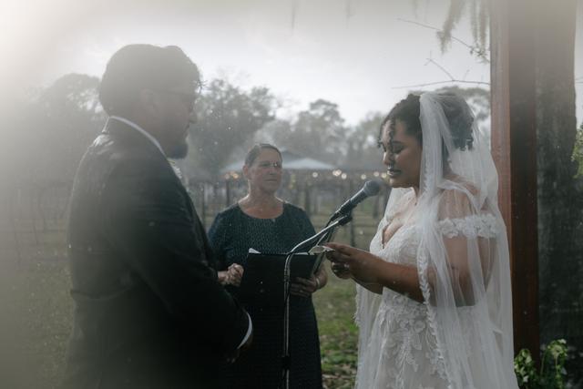 A Beautiful Wedding in Florida - 1