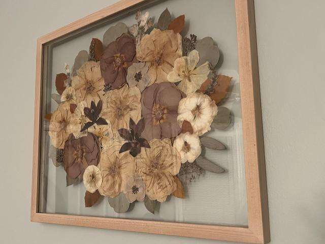 White Poppy Preservation - 3