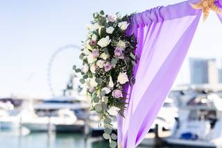 Tess Ann Photography - 5