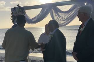 The Wedding Planner MD - 29