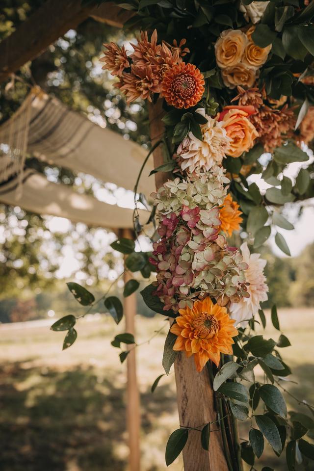 Passalongs Farm - 2