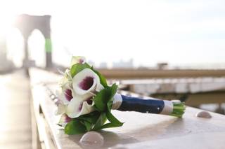 Pixel Perfect Photography - 1