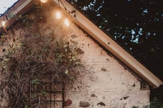 Twig and Olive Photography - 6