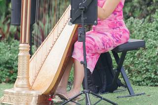 Harpist Kristen Elizabeth - 5