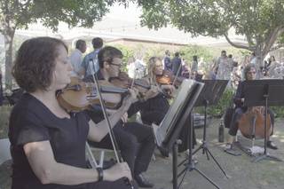 Eliana Strings - 23