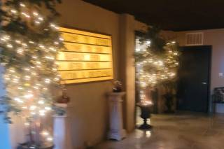 All World Entertainment DJ and Limo Service - 14