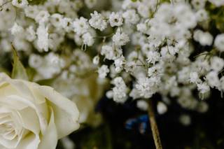 Gabby Coburn Photography - 2