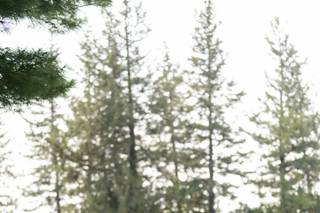 Annaberry Images - 9