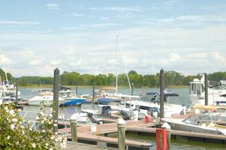Silver Swan Bayside - 9