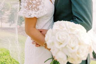 Terrie Images - 5