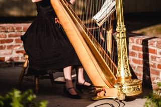 Ashley Toman- Harpist - 8