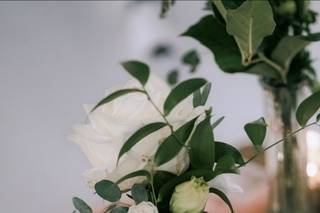 Bloom Culture Flowers - 59