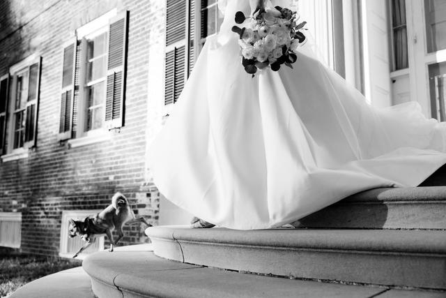 Procopio Photography - 1