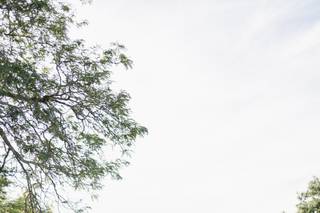 deCordova Sculpture Park and Museum - 8