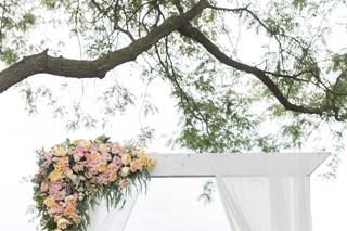 Bright + Bloom Floral Design - 8