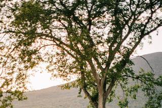 Jenelle Kappe Photography - 7