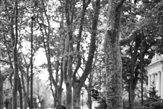 Kelly Giarrocco Photography - 13