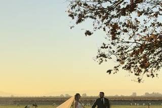 Simple Country Weddings - 12