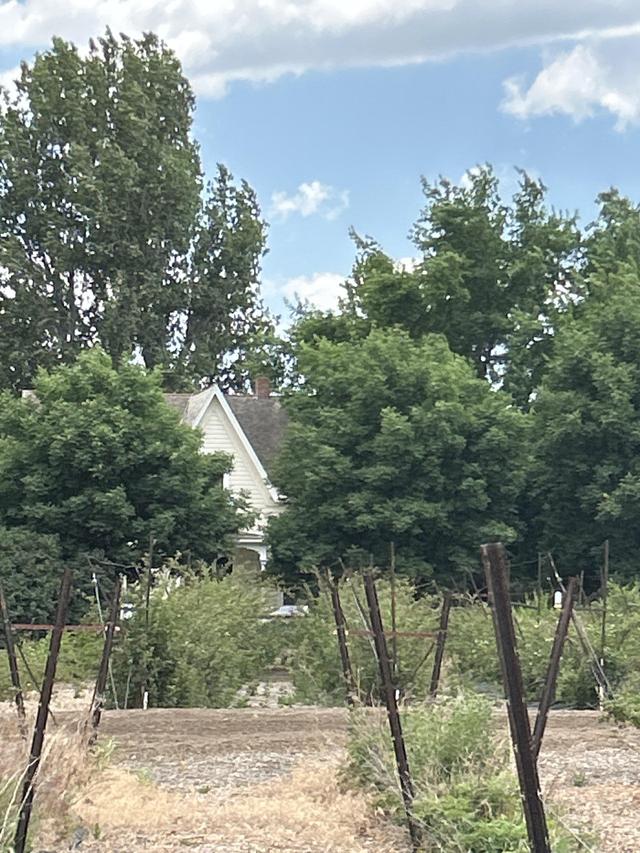 Jacobs Berry Farm - 2