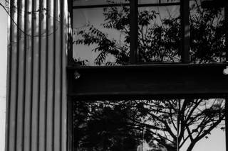 Archer Inspired Photography - 28