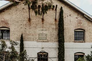 The Little Branch - 10