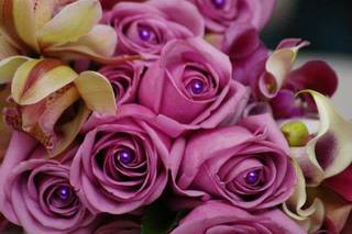 LINA BENDER EVENT AND WEDDING PLANNER - 25