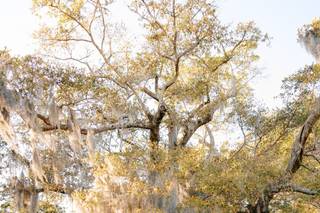 Wrightsville Manor - 17