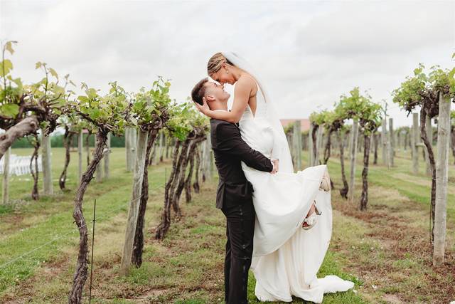 Talon Winery & Vineyards 2