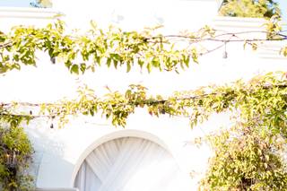 Villa & Vine - 9